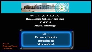 2 Pratical Parasitology  Entamoeba Histolytica  Trophozoite Stage [upl. by Conny]