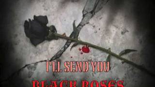 The Rasmus 10 Black Roses  LYRICS [upl. by Crain]