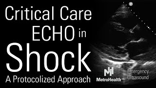 Critical Care Echocardiography in Shock [upl. by Onstad]