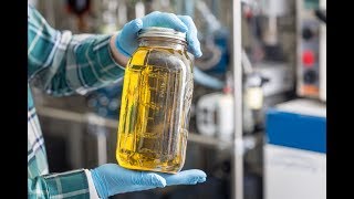 How Its Made Cannabis Distillate Oil [upl. by Dang]