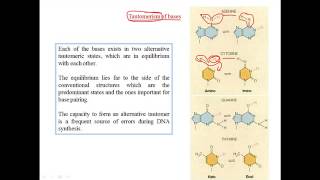 Tautomerization of bases [upl. by Ayerim]