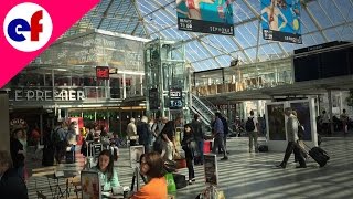 Gare De Lyon Train Terminal in Paris  Explore France [upl. by Garvy483]