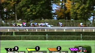 2001 Breeders Cup Classic [upl. by Roderic64]