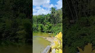 BUSAY DREAM FALLS LOBOC BOHOL [upl. by Aronow640]