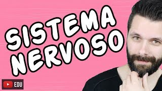 SISTEMA NERVOSO  FISIOLOGIA  Aula  Biologia com Samuel Cunha [upl. by Enyrhtak]