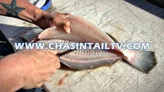 Fillet a Flounder in Under 15 seconds  Chasin Tail TV [upl. by Airliah]