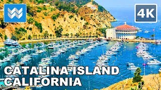 Walking Tour of Catalina Islands Avalon Town amp Harbor in California USA 🎧 Tips amp Travel Guide【4K】 [upl. by Rhine947]