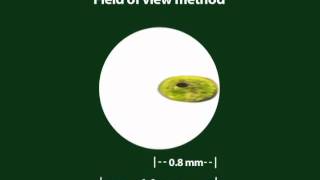 Part 7 How to Use Stereo and Compound Microscopes [upl. by Zoa]