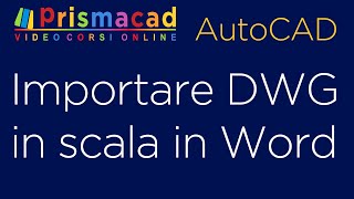 Importare in Word e in scala un file JPG generato con AutoCAD [upl. by Bourque]