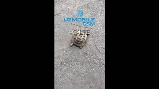 Uzmobile 4g [upl. by Nuncia425]