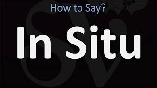 How to Pronounce In Situ CORRECTLY [upl. by Anyad852]