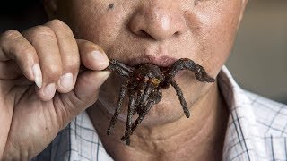 Inside The Cambodian Town That Eats Spiders [upl. by Kennie]