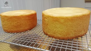 Sponge Cake  FLAT LAYERS  Recipe amp Method [upl. by Dijam]