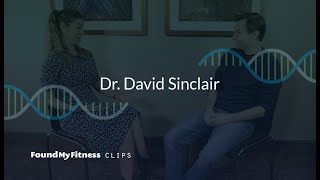 Nicotinamide Riboside vs Nicotinamide Mononucleotide  dosing and effects on NAD  David Sinclair [upl. by Stacia]