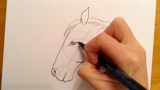 Beginners Lesson  How To Draw A Horse [upl. by Pearla]