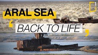 Aral sea  The difficult return of water [upl. by Jenness]