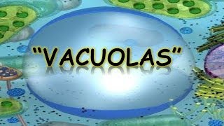 LAS VACUOLAS  BIOLOGÍA  MediCiencia [upl. by Aiet]