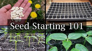 How To Start Vegetable Seeds  The Definitive Guide For Beginners [upl. by Sherfield]