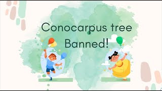 ConocarpusDamasCharcoalDubai tree banned [upl. by Landmeier]