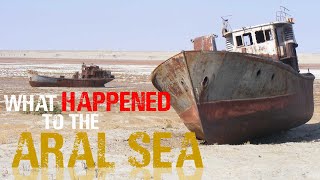 The Aral Sea Catastrophe Explained [upl. by Harwell]