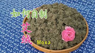 如何自制艾绒 千万不要扔了你种的艾草 太有用了 Homemade Moxa [upl. by Ydoj]