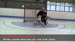 Breakaway Video Goaltending [upl. by Fayola]