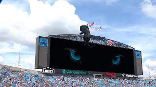 Carolina Panthers Showcase AGAIN the MixedReality Panther [upl. by Dawna807]