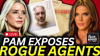 BOMBSHELL New Epstein Info May IMPLICATE US Intel in Criminal Black Ops [upl. by Kahl]