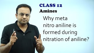 Why meta nitro aniline is formed during nitration of anilineNitrogen containing organic compounds [upl. by Hayyifas]