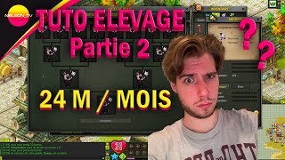 DOFUS  TUTORIEL ELEVAGE COMPLET 23  2025 [upl. by Ainitsirc]