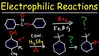 Electrophilic Aromatic Substitution Reactions Made Easy [upl. by Eiramac]