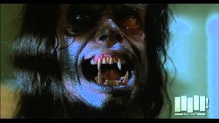 Werewolf transformation  The Howling 1981 [upl. by Files]