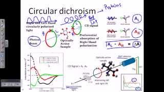 Circular dichroism [upl. by Joelly]