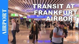 TRANSIT WALK AT FRANKFURT Airport FRA Terminal 1  Connection Flight Transfer Arriving amp Departing [upl. by Chester946]