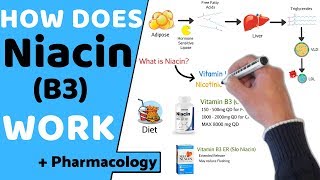 How does Niacin B3 Work  Pharmacology [upl. by Refinaj]