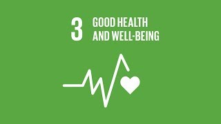 SDG3 Health amp Wellbeing [upl. by Arte]